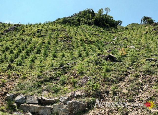 거창군, 2025년 경남도 산림자원분야 ‘최우수’기관 선정