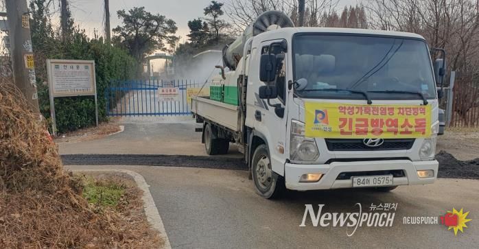 안성시 산란계농장 고병원성AI 의심축 발생