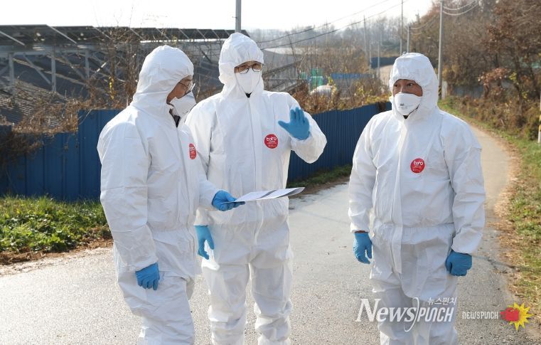 영암군 고병원성 AI 방역 총력