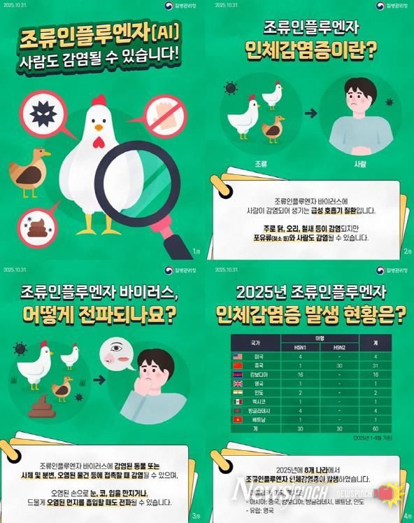 파주시, 조류인플루엔자 감염 예방을 위한 주의 당부