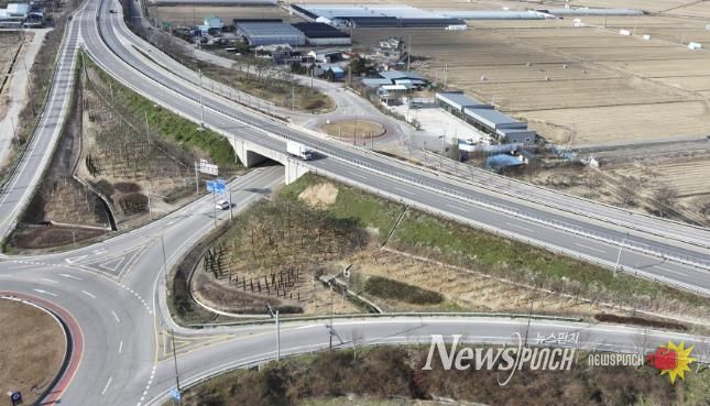 국도45 삽교교차로 기후대응도시숲 조성 모습