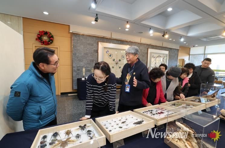 반디랜드 곤충박물관 _딱정벌레 한 살이_ 특별기획전