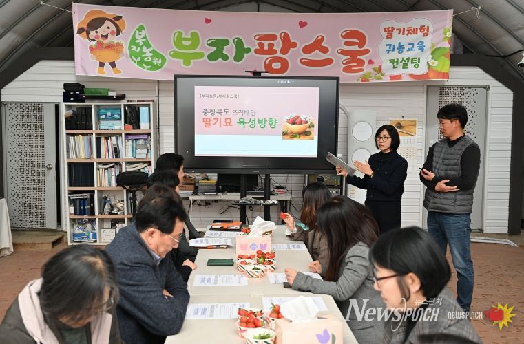 충북농기원, 딸기 무병묘 생산 체계 가동