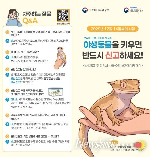 야생돌물 신고제 안내문