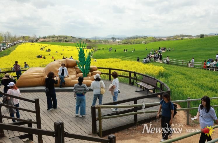 생활인구 자료사진(고창청보리밭축제를 찾은 수많은 관광객)