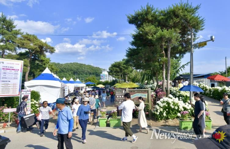 생활인구 자료사진__공주 유구색동수국정원 꽃 축제
