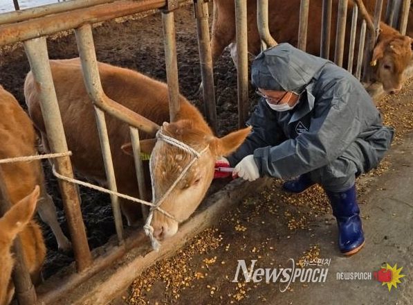 정읍시 2026년도 공수의 공개 모집
