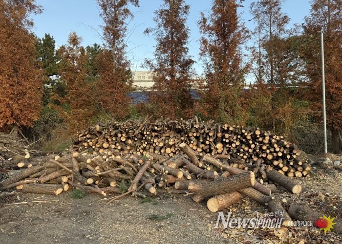 계양구, 겨울철 ‘사랑의 땔감 나눔’ 추진