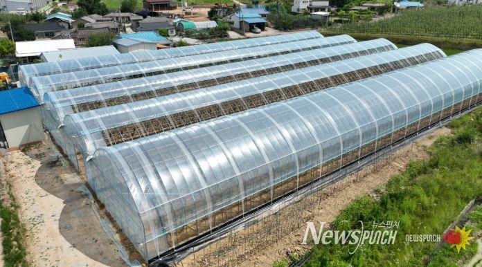 스마트과수원 특화단지 조성 공모사