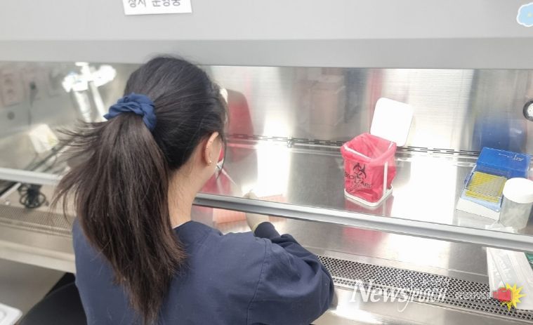 충남 지역 호흡기 바이러스 검출 급증