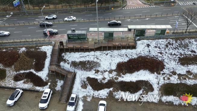 용인특례시가 수지구 성복동에 조성한 미세먼지 차단숲