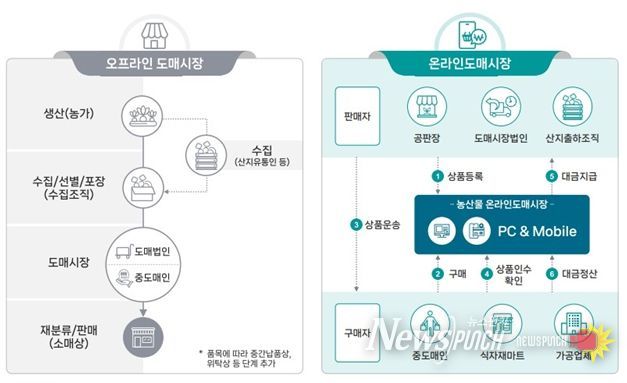 산지 농수산물 유통망 안정적 구축