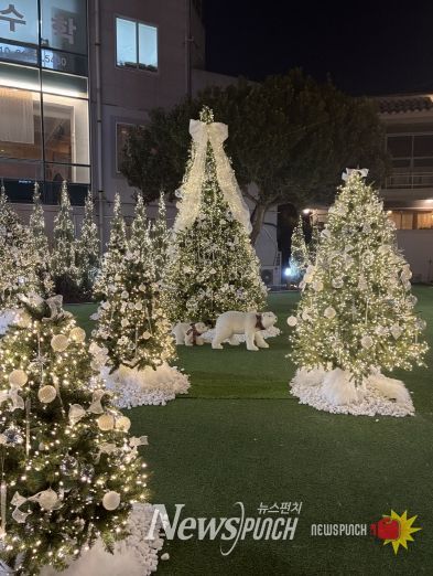 여행자의집, 크리스마스트리 점등