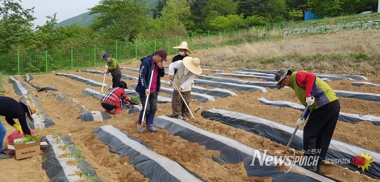 체류형농업창업지원센터 텃밭에서 교육생들이 실습하는 모습