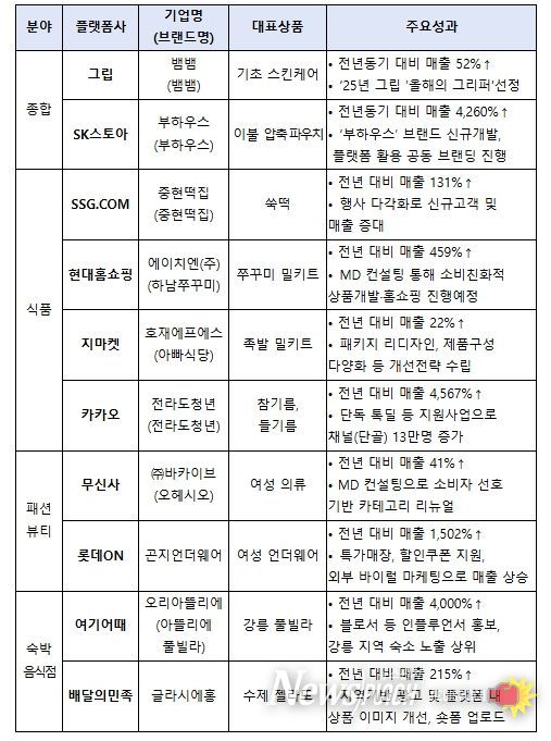 플랫폼사별 우수 사례