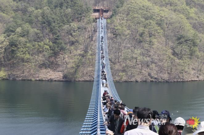 미르309 출렁다리 사진