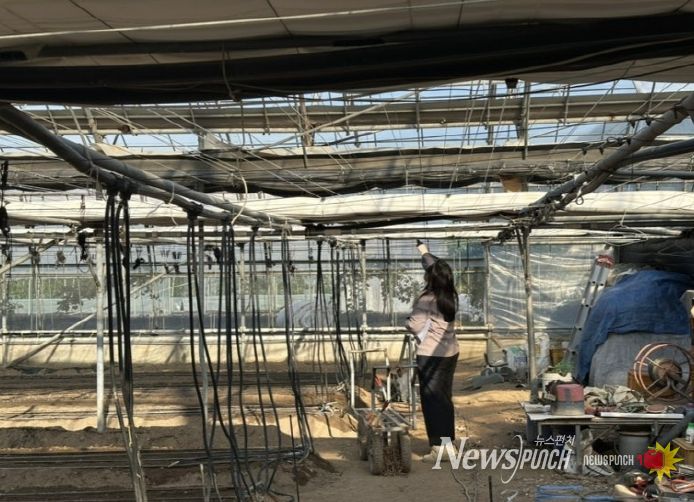 겨울철 화재 예방 대비 시설하우스 점검 실시