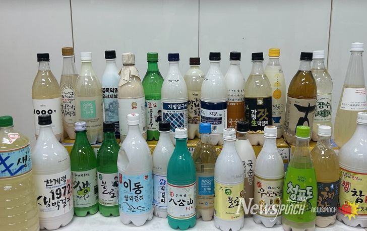 관내 유통 탁주 27건, 기타주류 3건 수거 검사