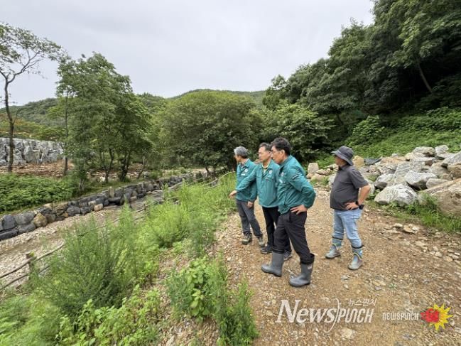 서산시가 지난 7월 집중호우로 인한 산림 피해를 확인하기 위해 현장을 점검하는 모습