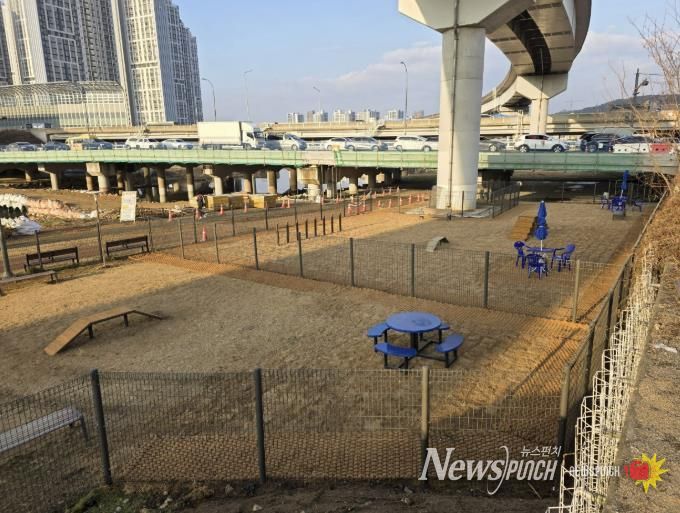 용인특례시가 처인구 경안천 산책로에 반려견 놀이터를 조성했다.