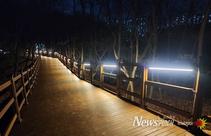 용인특례시가 수지구 상현동 서봉숲속 근린공원에 조성한 '서봉숲길'