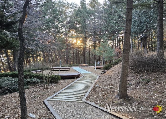 정선군, 비봉산 산림공원 조성 완료 ‘쉼과 치유의 공간 제공’