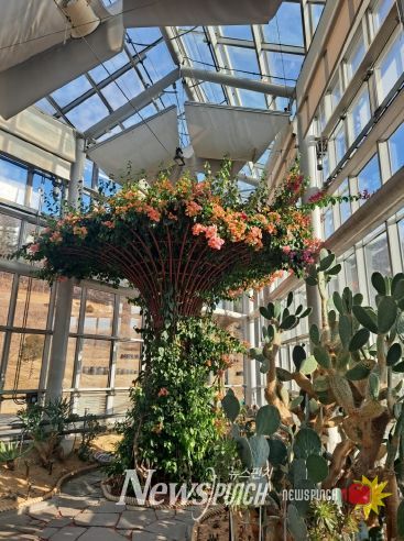 친환경생태공원, 형형색색 선인장 꽃 개화