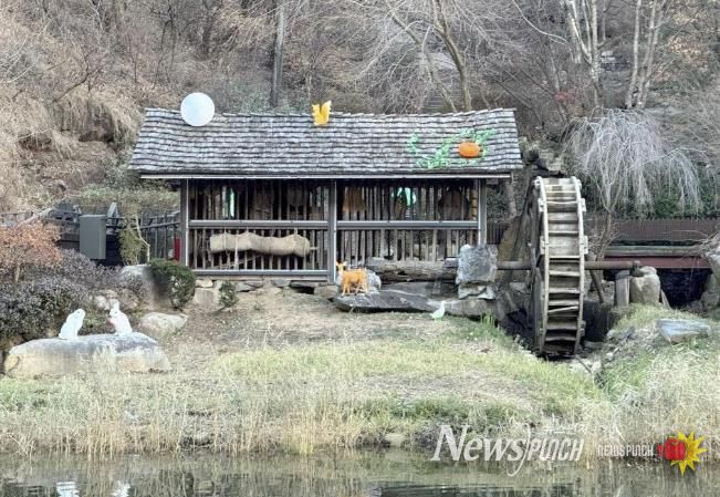 홍제천 너와집 (낮 경관)