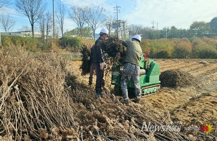 “태우지 말고 신청하세요”… 정읍시, 찾아가는 영농부산물 파쇄단 가동
