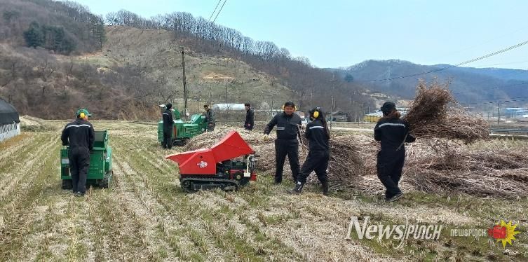 영농부산물 파쇄 사진