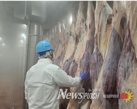 설 명절 축산물 안정적 공급 위해 도축장 조기 개장