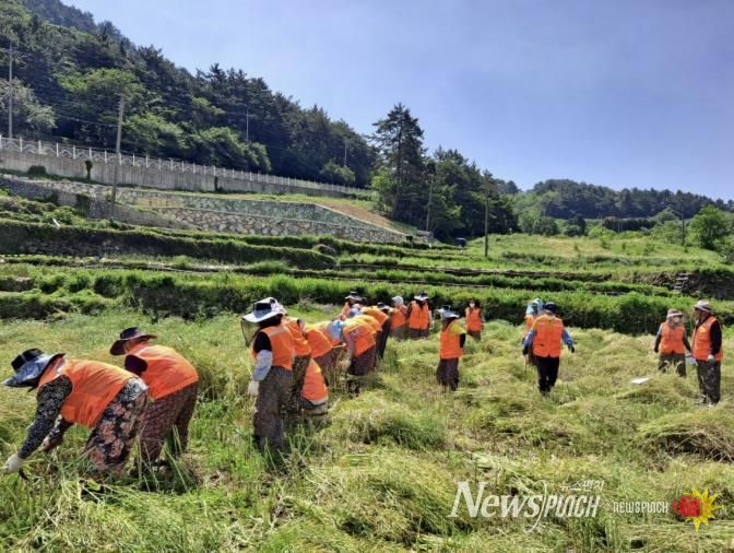 남해군, 26년 노인일자리 및 사회활동지원사업 본격 추진