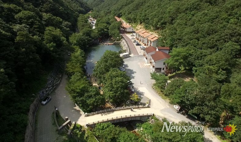 금산산림문화타운