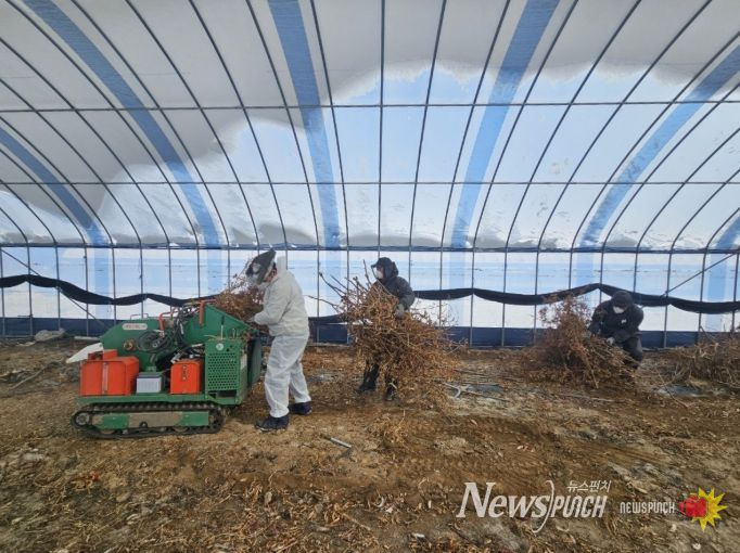 영농부산물 파쇄 모습