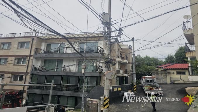 전선경합 위험수목 처리(후)