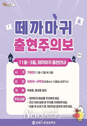 김해시, 도심 떼까마귀 출현에 이동 유도 대응