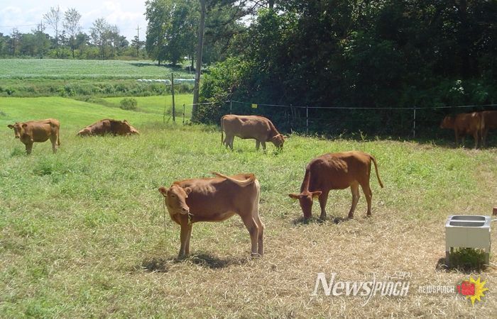 축산시험장 사진