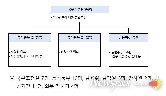 정부합동 특별감사반 구성 및 인원