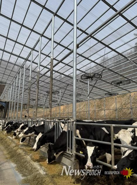 용인트례시가 '2026년 축산분야 생산지원사업' 희망 농가를 모집한다