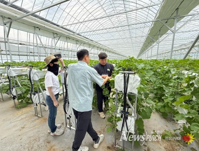 지난해 스마트팜 선도농가 현장실습 모습