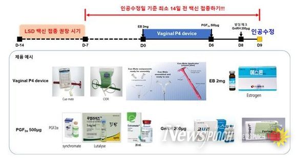 전남대, 럼피스킨 백신