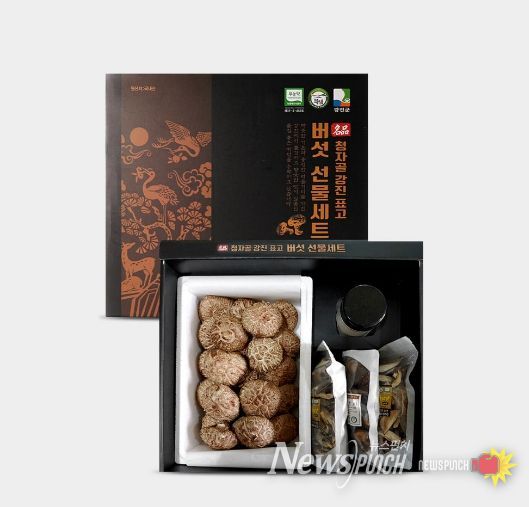 청자골강진표고 버섯 선물세트(생표고버섯, 표고가루, 슬라이드 건표고, 통표고, 표고차)