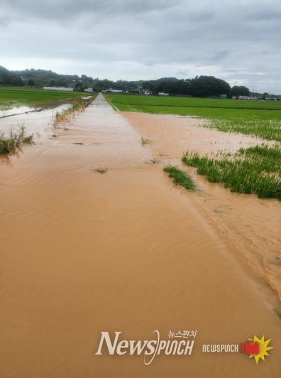 작년 7월 누동지구, 죽림지구 침수 피해 현장 모습.