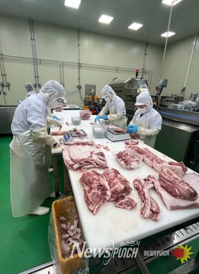식육포장 처리업 작업 현장 위생 확인