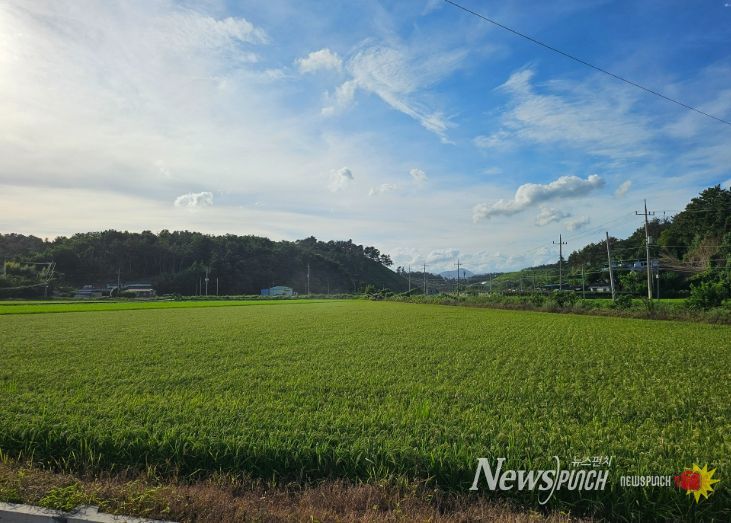 사천시, 벼 육묘상자처리제 지원으로 초기 벼 병해충 예방 강화