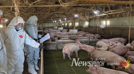 울산보건환경연구원 심민령 원장이 아프리카돼지열병 발생 예방을 위해 돼지 농가를 직접 방문해 방역 실태를 점검하고 있다