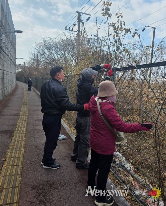 한국자유총연맹 금곡동위원회, 낙동강 동원진 장미꽃길 환경정비