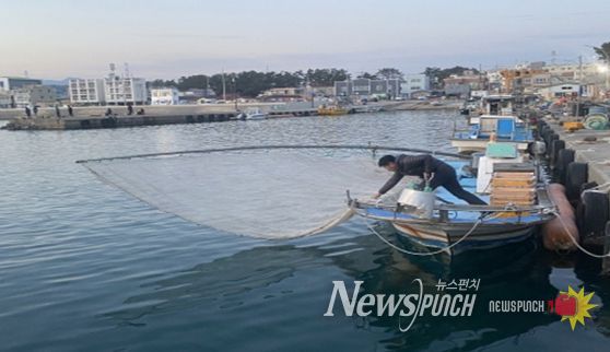 분기초망 그물 전개