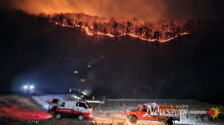 예산군 대술면 산불