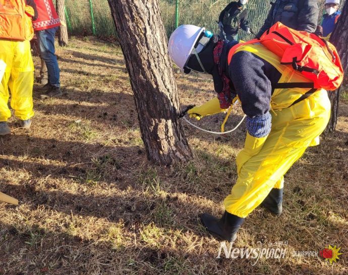 상반기 소나무재선충병 예방사업 추진..255ha 집중 관리